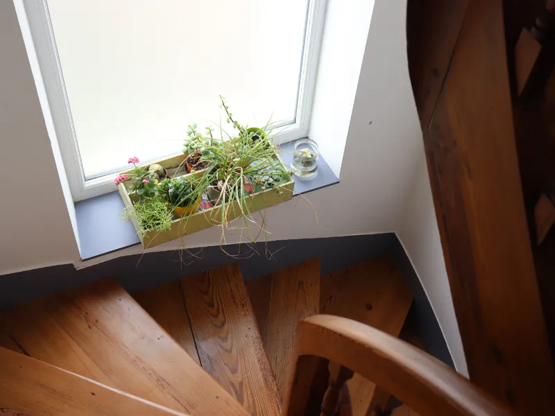 Jardinière de plantes grasses sur l'appui de la fenêtre du palier, au-dessus de l'escalier de bois